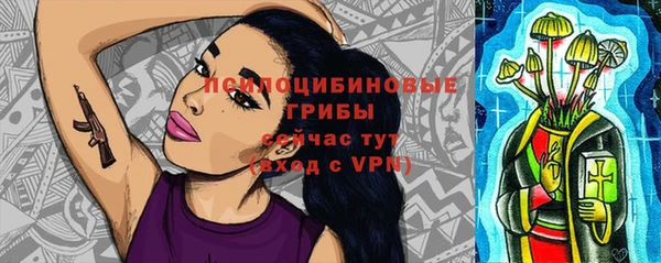 Альфа ПВП Осташков