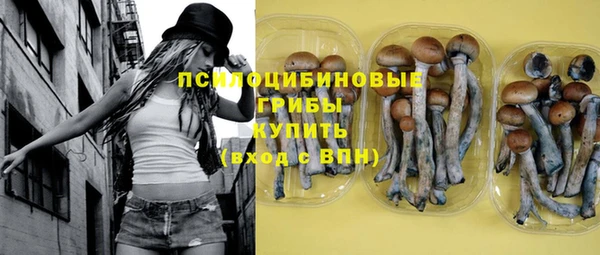 Альфа ПВП Осташков