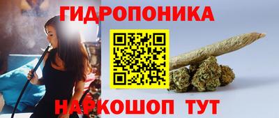 дмт Абинск