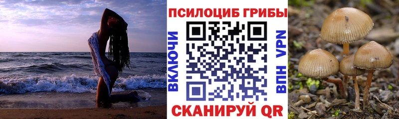ссылка на мегу как войти как найти закладки Белогорск Псилоцибиновые грибы ЛСД
