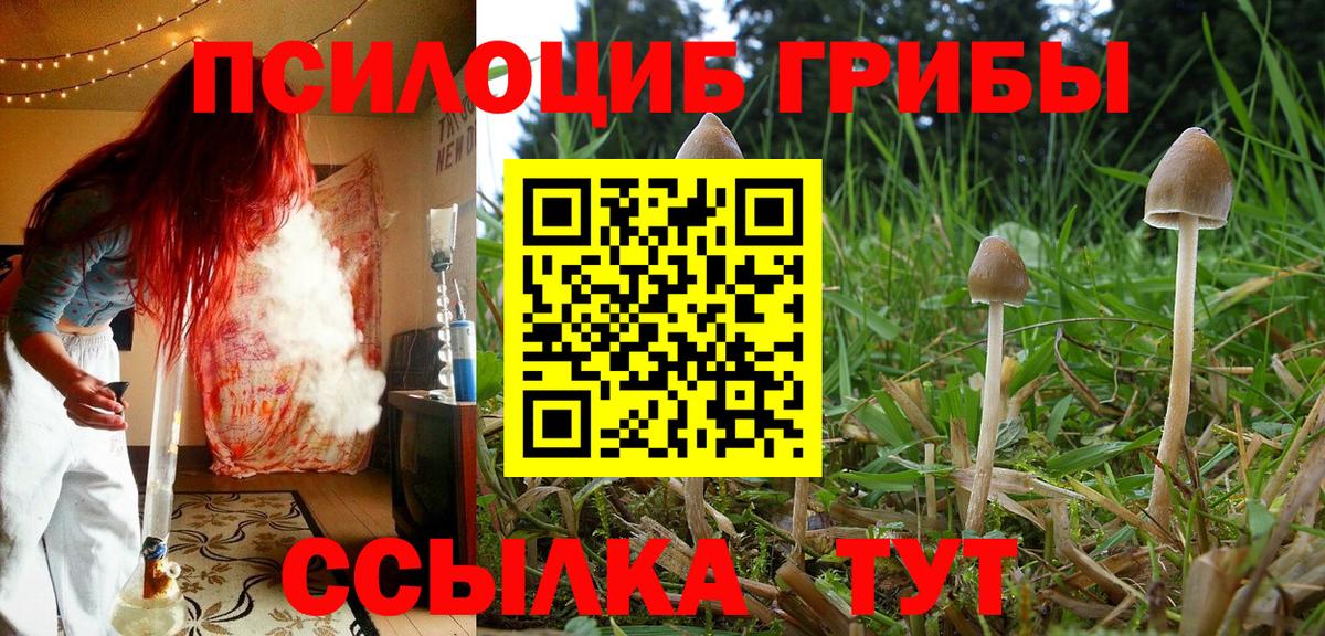 где найти   Галлюциногенные грибы Cubensis  Вход с VPN  Белогорск  Псилоцибиновые грибы GOLDEN TEACHER 