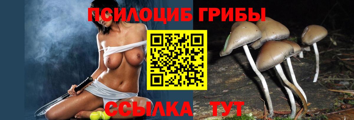 Псилоцибиновые грибы GOLDEN TEACHER Белогорск